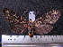  ( - MMZ1195)  @13 [ ] CreativeCommons - Attribution Non-Commercial (2012) Mauricio M. Zenker UFPR