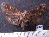  ( - MMZ1195)  @13 [ ] CreativeCommons - Attribution Non-Commercial (2012) Mauricio M. Zenker UFPR