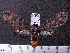  ( - MMZ1202)  @13 [ ] CreativeCommons - Attribution Non-Commercial (2012) Mauricio M. Zenker UFPR