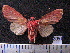  ( - MMZ1198)  @12 [ ] CreativeCommons - Attribution Non-Commercial (2012) Mauricio M. Zenker UFPR