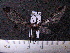  ( - MMZ1118)  @12 [ ] CreativeCommons - Attribution Non-Commercial (2012) Mauricio M. Zenker UFPR