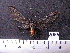  ( - MMZ1118)  @12 [ ] CreativeCommons - Attribution Non-Commercial (2012) Mauricio M. Zenker UFPR