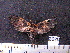  ( - MMZ1077)  @12 [ ] CreativeCommons - Attribution Non-Commercial (2012) Mauricio M. Zenker UFPR