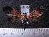  ( - MMZ1119)  @12 [ ] CreativeCommons - Attribution Non-Commercial (2012) Mauricio M. Zenker UFPR
