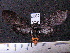 ( - MMZ1211)  @13 [ ] CreativeCommons - Attribution Non-Commercial (2012) Mauricio M. Zenker UFPR