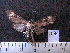  ( - MMZ1218)  @12 [ ] CreativeCommons - Attribution Non-Commercial (2012) Mauricio M. Zenker UFPR