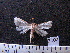  ( - MMZ1266)  @13 [ ] CreativeCommons - Attribution Non-Commercial (2012) Mauricio M. Zenker UFPR