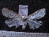  ( - MMZ1269)  @13 [ ] CreativeCommons - Attribution Non-Commercial (2012) Mauricio M. Zenker UFPR