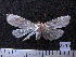  ( - MMZ1273)  @13 [ ] CreativeCommons - Attribution Non-Commercial (2012) Mauricio M. Zenker UFPR