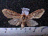  ( - MMZ1276)  @12 [ ] CreativeCommons - Attribution Non-Commercial (2012) Mauricio M. Zenker UFPR