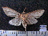  ( - MMZ1276)  @12 [ ] CreativeCommons - Attribution Non-Commercial (2012) Mauricio M. Zenker UFPR
