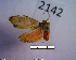  ( - MMZ1129)  @12 [ ] CreativeCommons - Attribution Non-Commercial (2012) Mauricio M. Zenker UFPR