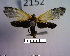  ( - MMZ1078)  @13 [ ] CreativeCommons - Attribution Non-Commercial (2012) Mauricio M. Zenker UFPR