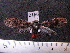  ( - MMZ1229)  @12 [ ] CreativeCommons - Attribution Non-Commercial (2012) Mauricio M. Zenker UFPR