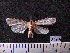  ( - MMZ1284)  @12 [ ] CreativeCommons - Attribution Non-Commercial (2012) Mauricio M. Zenker UFPR