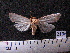  ( - MMZ1299)  @12 [ ] CreativeCommons - Attribution Non-Commercial (2012) Mauricio M. Zenker UFPR