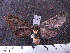 ( - MMZ0666)  @12 [ ] CreativeCommons - Attribution Non-Commercial (2011) Mauricio M. Zenker Universidade Federal do Parana