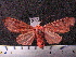  ( - MMZ0673)  @12 [ ] CreativeCommons - Attribution Non-Commercial (2011) Mauricio M. Zenker Universidade Federal do Parana