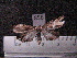  ( - MMZ0896)  @12 [ ] CreativeCommons - Attribution Non-Commercial (2011) Mauricio M. Zenker UFPR