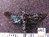  ( - MMZ0677)  @12 [ ] CreativeCommons - Attribution Non-Commercial (2011) Mauricio M. Zenker Universidade Federal do Parana