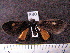  ( - MMZ0962)  @12 [ ] CreativeCommons - Attribution Non-Commercial (2011) Mauricio M. Zenker UFPR