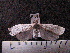  ( - MMZ0885)  @12 [ ] CreativeCommons - Attribution Non-Commercial (2011) Mauricio M. Zenker UFPR