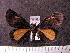  ( - MMZ0963)  @13 [ ] CreativeCommons - Attribution Non-Commercial (2011) Mauricio M. Zenker UFPR