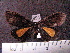  ( - MMZ0964)  @12 [ ] CreativeCommons - Attribution Non-Commercial (2011) Mauricio M. Zenker UFPR