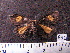 ( - MMZ0964)  @12 [ ] CreativeCommons - Attribution Non-Commercial (2011) Mauricio M. Zenker UFPR