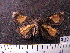  ( - MMZ0965)  @12 [ ] CreativeCommons - Attribution Non-Commercial (2011) Mauricio M. Zenker UFPR