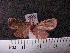  ( - MMZ0969)  @12 [ ] CreativeCommons - Attribution Non-Commercial (2011) Mauricio M. Zenker UFPR