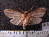 ( - MMZ0936)  @12 [ ] CreativeCommons - Attribution Non-Commercial (2011) Mauricio M. Zenker UFPR