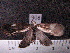  ( - MMZ0940)  @12 [ ] CreativeCommons - Attribution Non-Commercial (2011) Mauricio M. Zenker UFPR