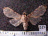  ( - MMZ0685)  @14 [ ] CreativeCommons - Attribution Non-Commercial (2011) Mauricio M. Zenker Universidade Federal do Parana