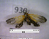  ( - MMZ0900)  @12 [ ] CreativeCommons - Attribution Non-Commercial (2011) Mauricio M. Zenker UFPR