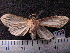  ( - MMZ0881)  @12 [ ] CreativeCommons - Attribution Non-Commercial (2011) Mauricio M. Zenker UFPR