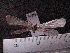  ( - MMZ0908)  @12 [ ] CreativeCommons - Attribution Non-Commercial (2011) Mauricio M. Zenker UFPR