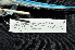  ( - LGR-102.2)  @11 [ ] CreativeCommons  Attribution Non-Commercial Share-Alike (2111) Hidayat Hashari Indonesian Institute of Sciences, Museum Zoologicum Bogoriense
