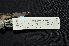  ( - LGR-117.2)  @11 [ ] CreativeCommons  Attribution Non-Commercial Share-Alike (2111) Hidayat Hashari Indonesian Institute of Sciences, Museum Zoologicum Bogoriense