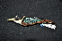  ( - LGR-120.2)  @11 [ ] CreativeCommons  Attribution Non-Commercial Share-Alike (2092) Hidayat Hashari Indonesian Institute of Sciences, Museum Zoologicum Bogoriense