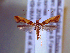  ( - IO-858)  @11 [ ] CreativeCommons - Attribution Non-Commercial (2018) Issei Ohshima Kyoto Prefectural University
