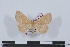  ( - LN-BD0051)  @14 [ ] Copyright (2011) Rodolphe Rougerie University of Rouen