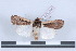  ( - LN-BD0090)  @14 [ ] Copyright (2011) Rodolphe Rougerie University of Rouen
