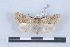  ( - LN-BD0095)  @14 [ ] Copyright (2011) Rodolphe Rougerie University of Rouen