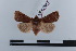  ( - LN-BD0207)  @13 [ ] Copyright (2011) Rodolphe Rougerie University of Rouen