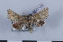  ( - LN-BD0508)  @12 [ ] Copyright (2011) Rodolphe Rougerie University of Rouen