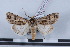  ( - LN-BD0702)  @13 [ ] Copyright (2011) Rodolphe Rougerie University of Rouen