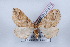  ( - LN-BD0875)  @13 [ ] Copyright (2011) Rodolphe Rougerie University of Rouen