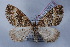  ( - LN-BD0913)  @13 [ ] Copyright (2011) Rodolphe Rougerie University of Rouen