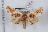  ( - LN-BD1284)  @14 [ ] Copyright (2011) Bernard Dardenne Research Collection of Bernard Dardenne